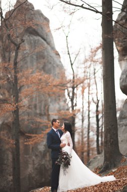 Muhteşem düğün çift öpüşme ve orman büyük kayalar ile sarılma