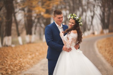 Mutlu evlilik çift, gelin ve damat sonbahar ormanda yürüyüş parkı