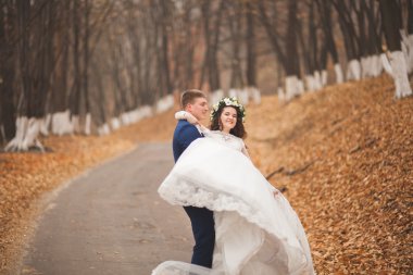 Mutlu evlilik çift, gelin ve damat sonbahar ormanda yürüyüş parkı