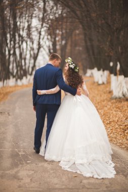 Mutlu evlilik çift, gelin ve damat sonbahar ormanda yürüyüş parkı