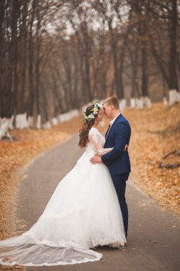 Mutlu evlilik çift, gelin ve damat sonbahar ormanda yürüyüş parkı