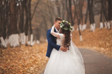 Mutlu evlilik çift, gelin ve damat sonbahar ormanda yürüyüş parkı