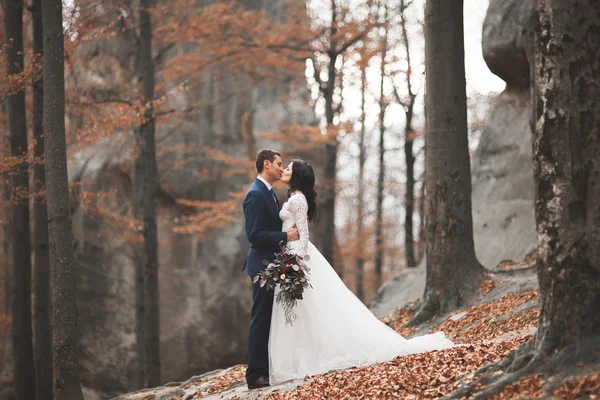 Superbe couple de mariage embrasser et embrasser dans la forêt avec de gros rochers — Photo