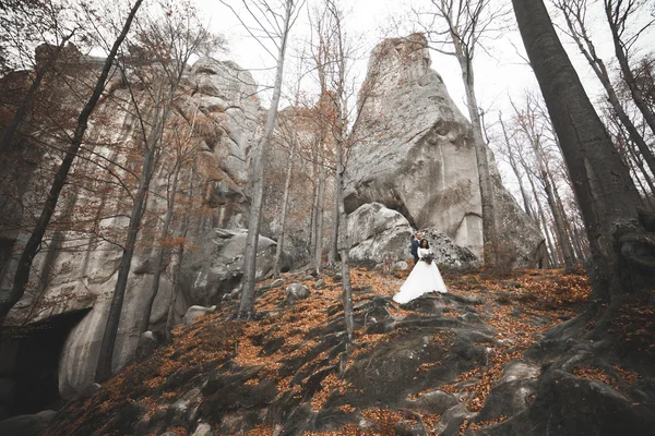 Hermosa pareja de boda besándose y abrazándose en el bosque con grandes rocas — Foto de Stock