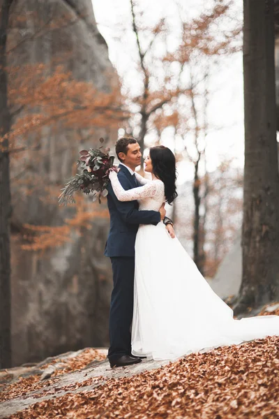 Hermosa pareja de boda besándose y abrazándose en el bosque con grandes rocas — Foto de Stock