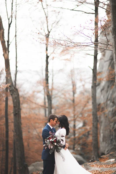 Splendido matrimonio coppia baci e abbracci nella foresta con grandi rocce — Foto Stock