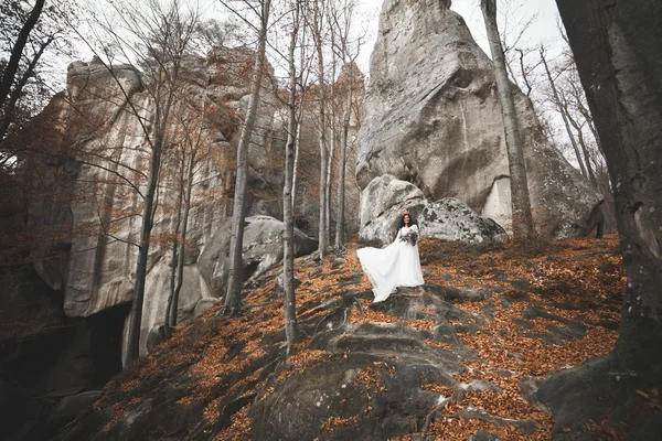 Hermosa pareja de boda besándose y abrazándose en el bosque con grandes rocas — Foto de Stock