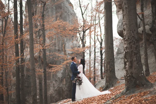 豪華な結婚式のカップルのキスとハグを大きな岩の森で — ストック写真