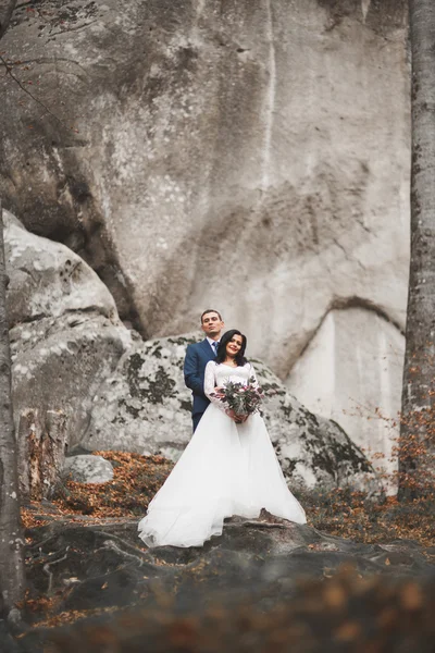 Чудова весільна пара цілується і обіймається в лісі з великими каменями — стокове фото