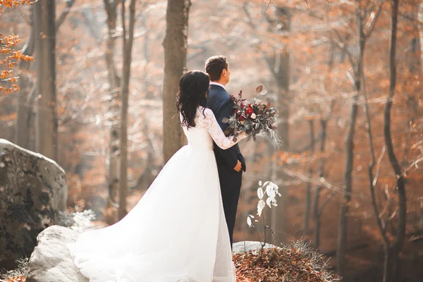 Wunderschönes Hochzeitspaar küsst und umarmt sich im Wald mit großen Felsen — Stockfoto