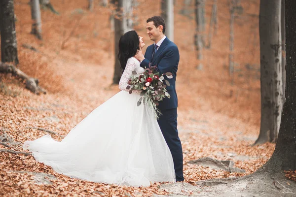 Splendido matrimonio coppia baci e abbracci nella foresta con grandi rocce — Foto Stock