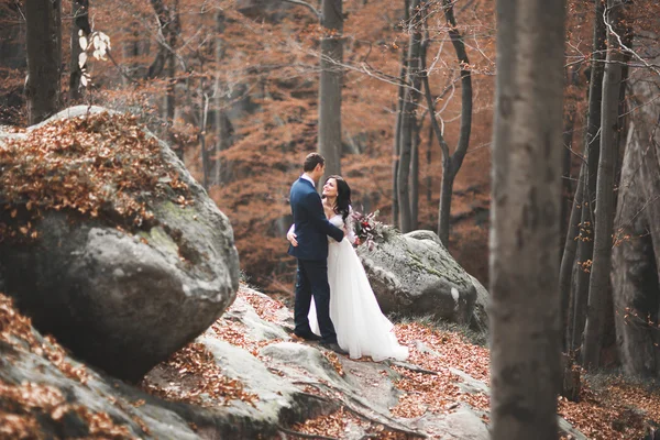 Hermosa pareja de boda besándose y abrazándose en el bosque con grandes rocas — Foto de Stock