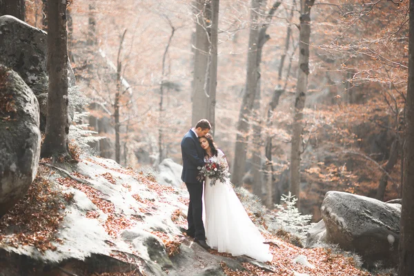 Nádherné Svatební pár líbání a objímání v lese s velkými kameny — Stock fotografie