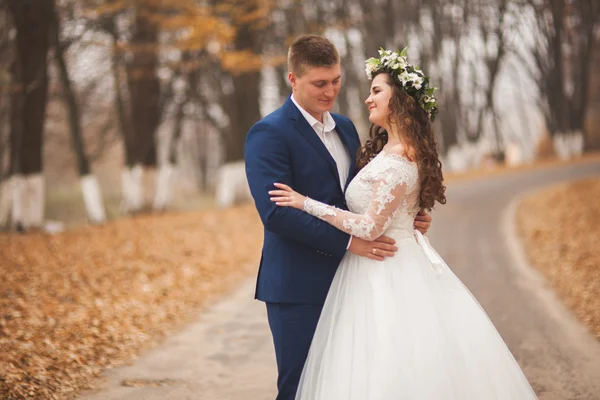 Boda feliz pareja, novia y novio caminando en el bosque de otoño, parque —  Fotos de Stock