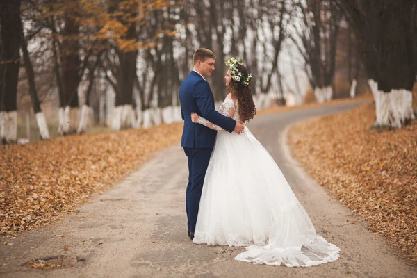 Happy bröllopsparet, bruden och brudgummen promenader i skogen höst, parkera — Stockfoto