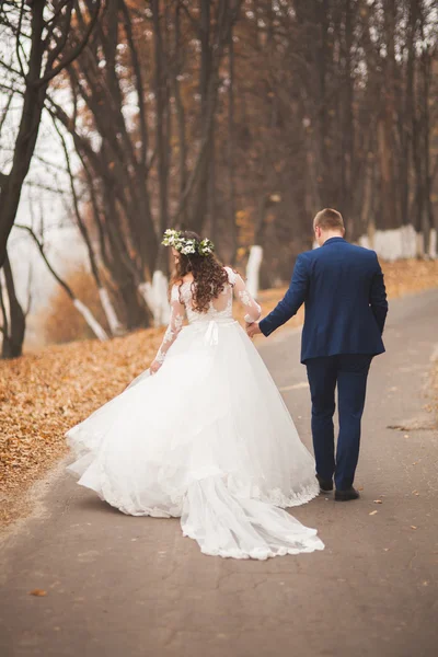 Boda feliz pareja, novia y novio caminando en el bosque de otoño, parque —  Fotos de Stock