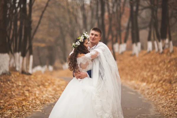 Счастливая свадьба пара, невеста и жених прогулки в осеннем лесу, парк — стоковое фото