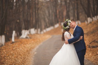 Mutlu evlilik çift, gelin ve damat sonbahar ormanda yürüyüş parkı