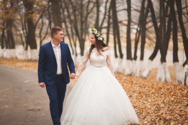 Mutlu evlilik çift, gelin ve damat sonbahar ormanda yürüyüş parkı