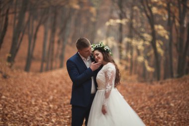 Mutlu evlilik çift, gelin ve damat sonbahar ormanda yürüyüş parkı