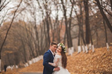 Mutlu evlilik çift, gelin ve damat sonbahar ormanda yürüyüş parkı