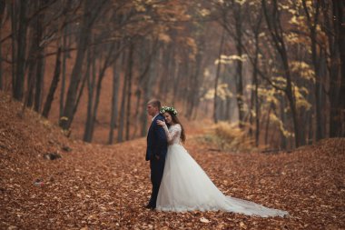 Mutlu evlilik çift, gelin ve damat sonbahar ormanda yürüyüş parkı