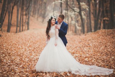 Mutlu evlilik çift, gelin ve damat sonbahar ormanda yürüyüş parkı