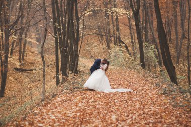 Mutlu evlilik çift, gelin ve damat sonbahar ormanda yürüyüş parkı