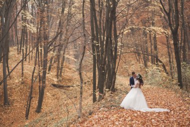Mutlu evlilik çift, gelin ve damat sonbahar ormanda yürüyüş parkı