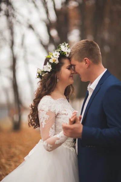 Boda feliz pareja, novia y novio caminando en el bosque de otoño, parque —  Fotos de Stock