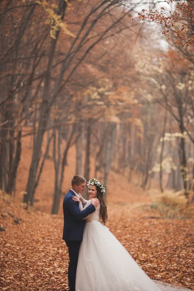 Glückliches Hochzeitspaar, Braut und Bräutigam spazieren im herbstlichen Wald, Park — Stockfoto