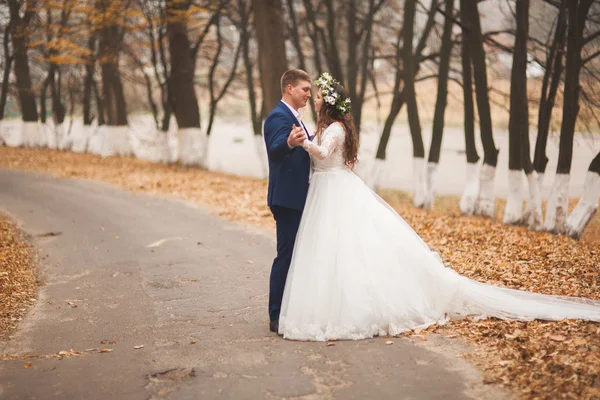 Casal feliz casamento, noiva e noivo andando na floresta de outono, parque — Fotografia de Stock