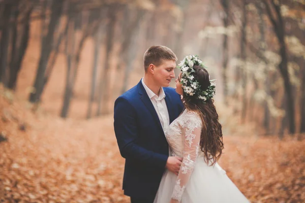Boda feliz pareja, novia y novio caminando en el bosque de otoño, parque —  Fotos de Stock