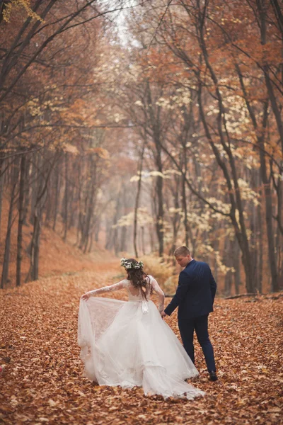 Szczęśliwa para ślub, panna młoda i pan młody spaceru w lesie jesienią, park — Zdjęcie stockowe