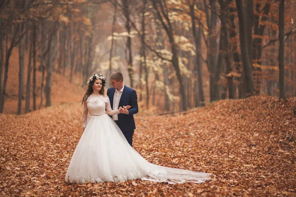 Casal feliz casamento, noiva e noivo andando na floresta de outono, parque — Fotografia de Stock