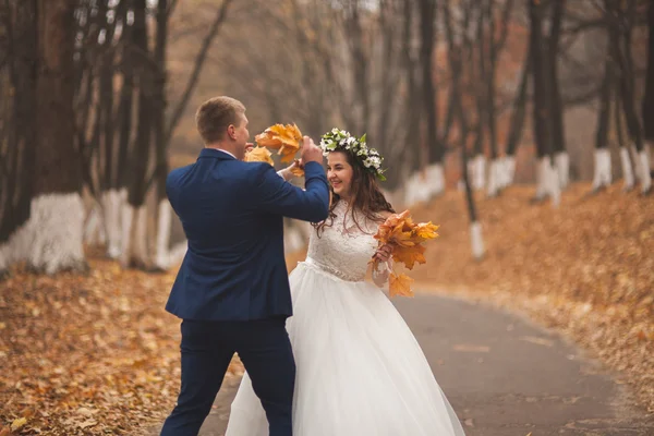 幸せな結婚式のカップル、秋の森を歩く新郎新婦公園 — ストック写真