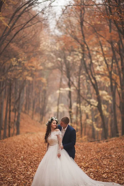 Glückliches Hochzeitspaar, Braut und Bräutigam spazieren im herbstlichen Wald, Park — Stockfoto