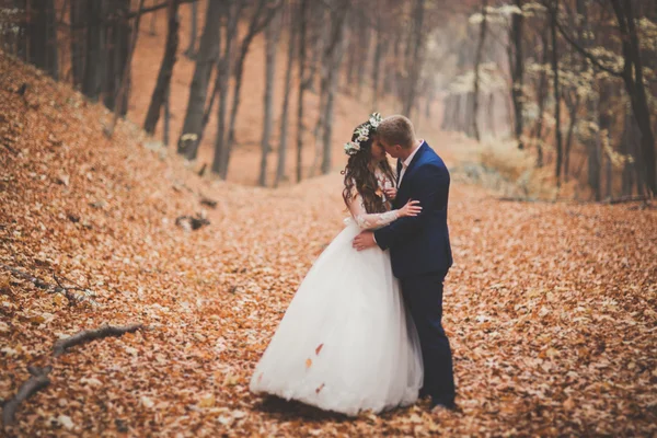 Glückliches Hochzeitspaar, Braut und Bräutigam spazieren im herbstlichen Wald, Park — Stockfoto