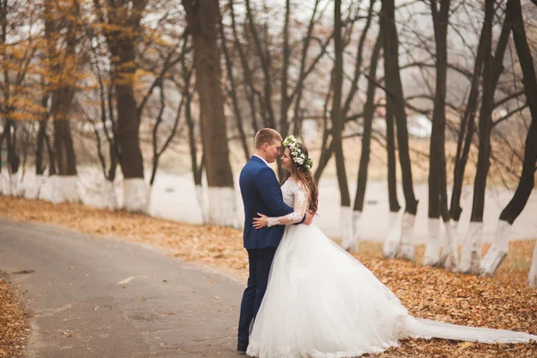 Glückliches Hochzeitspaar, Braut und Bräutigam spazieren im herbstlichen Wald, Park — Stockfoto