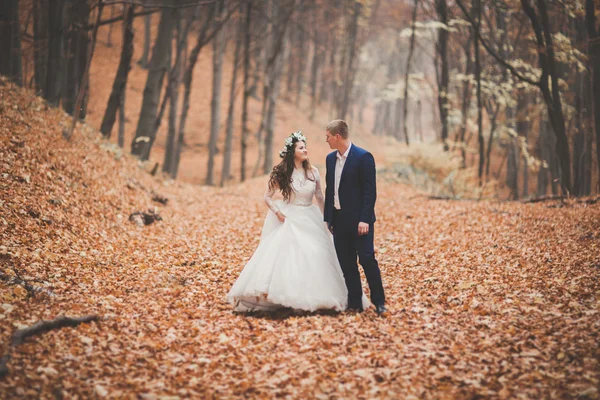 Glückliches Hochzeitspaar, Braut und Bräutigam spazieren im herbstlichen Wald, Park — Stockfoto