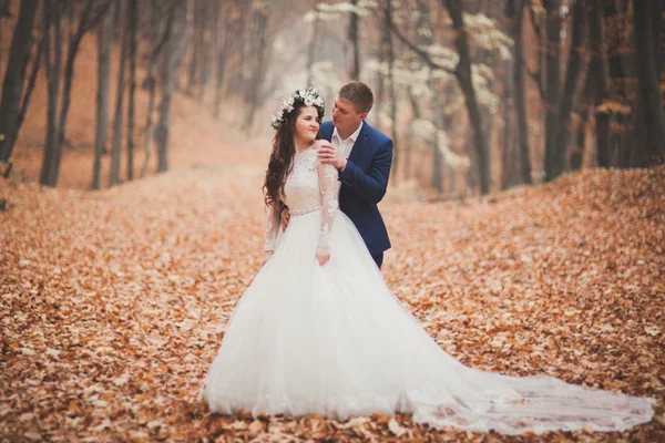 Gelukkig bruidspaar, bruid en bruidegom lopen in de herfst bos, park — Stockfoto