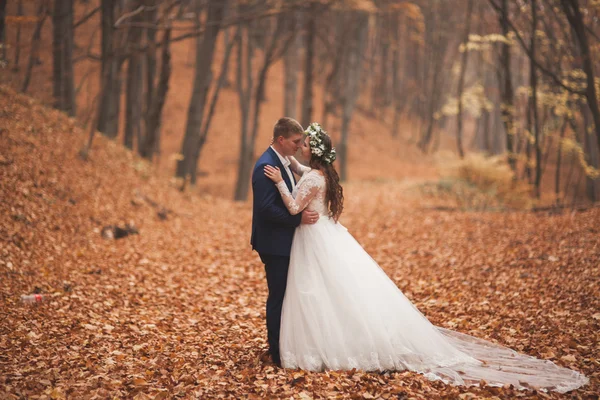 Happy wedding couple, bride and groom walking in the autumn forest, park — Stock Photo, Image