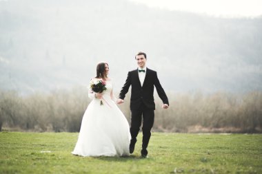 Güzel düğün çift, Gelin, poz ve yüksek Dağları arka planı alanında yürüme damat