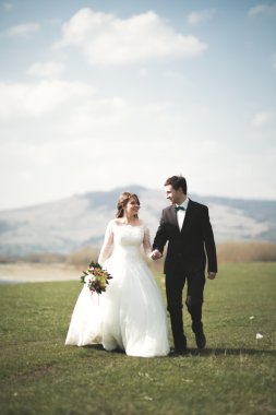 Güzel düğün çift, Gelin, poz ve yüksek Dağları arka planı alanında yürüme damat