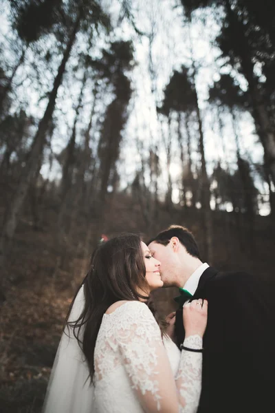 Para ślub pozowanie w pobliżu sosnowego lasu. Nowożeńcy w miłości — Zdjęcie stockowe