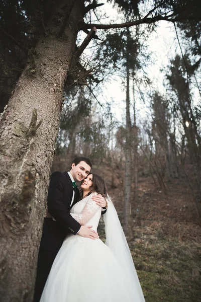 Casamento casal posando perto de pinhal. Recém-casados apaixonados — Fotografia de Stock