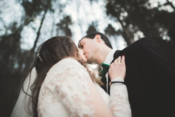 Casamento casal posando perto de pinhal. Recém-casados apaixonados — Fotografia de Stock