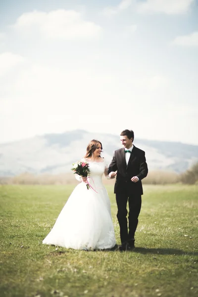 Casal de casamento bonito, noiva, noivo posando e andando em campo contra o fundo de altas montanhas — Fotografia de Stock