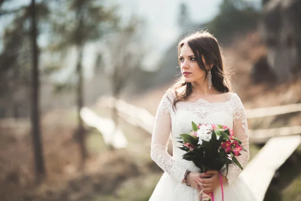 Krásná nevěsta vystupují skály s krásným výhledem — Stock fotografie