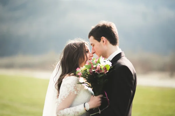 Casal de casamento bonito, noiva, noivo posando e andando em campo contra o fundo de altas montanhas — Fotografia de Stock